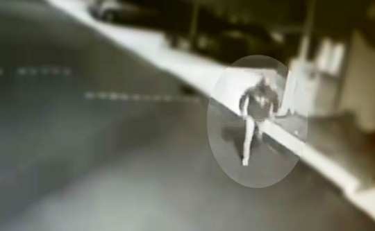 Alexandre foi filmado, na noite de 13 de dezembro, invadindo o condomínio em que moram os pais dela. Foto: Divulgação/Polícia Civil.