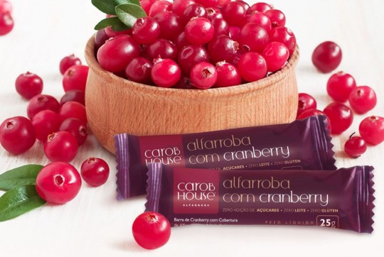 Com um negócio inovador e produtos sem similares nos mercados nacional e internacional, indústria paranaense cresce de maneira exponencial no segmento de alimentação saudável