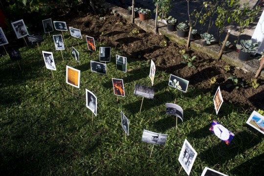 Foto: Nilo Biazzetto Neto