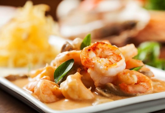 A fotógrafo Vanessa Kosop clicou as “estrelas” dos cardápios dos sete restaurantes do ParkGourmet, que ganharam espaço na Galeria Gourmet. e descontos no jantar