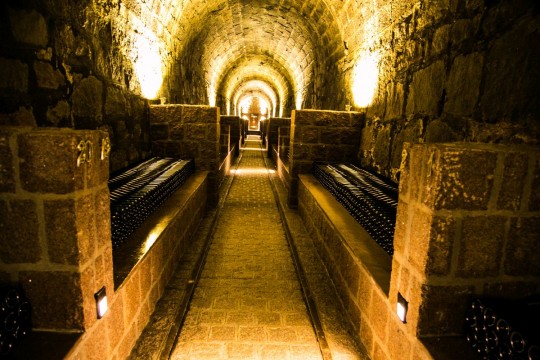 Bucólico espaço em Piraquara é uma opção diferente para passar um Dia das Mães muito especial