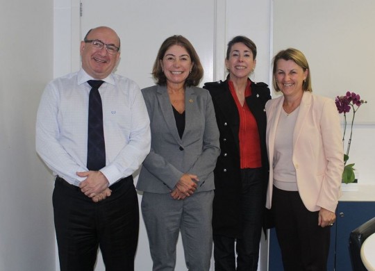 Paulo Campos, Maria Letícia Fagundes, Gleyne Biagin e Márcia Huçulak (Divulgação/SBEM)