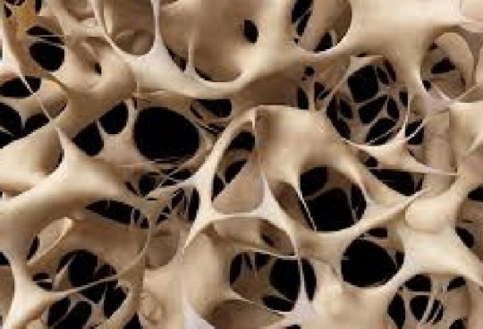 Já que ela pode aparecer de maneira silenciosa, pessoas acima dos 50 anos, que fizeram cirurgia bariátrica, com insuficiência renal e ainda com histórico familiar da doença devem ficar atentas e buscar acompanhamento com especialistas