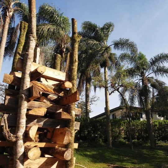 Festa organizada pelo Hotel Fazenda das Araucárias terá quadrilha, casamento caipira, quitutes preparados na fazenda e sorteio para as melhores fantasias