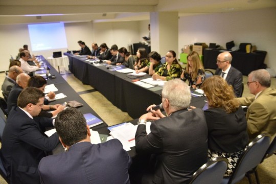 Reunião mensal do Conselho Deliberativo da Associação Nacional, com participação de representantes das associações estaduais de todo o país, discutiu temas de interesse da categoria. Foto: Divulgação