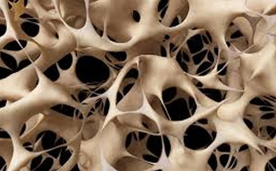 Atividades encabeçadas pela SBEM-PR e ABRASSO orientam sobre como manter saúde osteomuscular; bioimpedância e avaliação antropométrica, atividade física, avaliação dentária e informações sobre nutrição estarão à disposição dos participantes