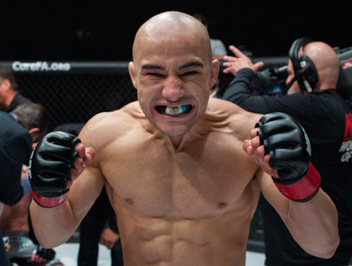 Marlon Moraes estreia no UFC. 