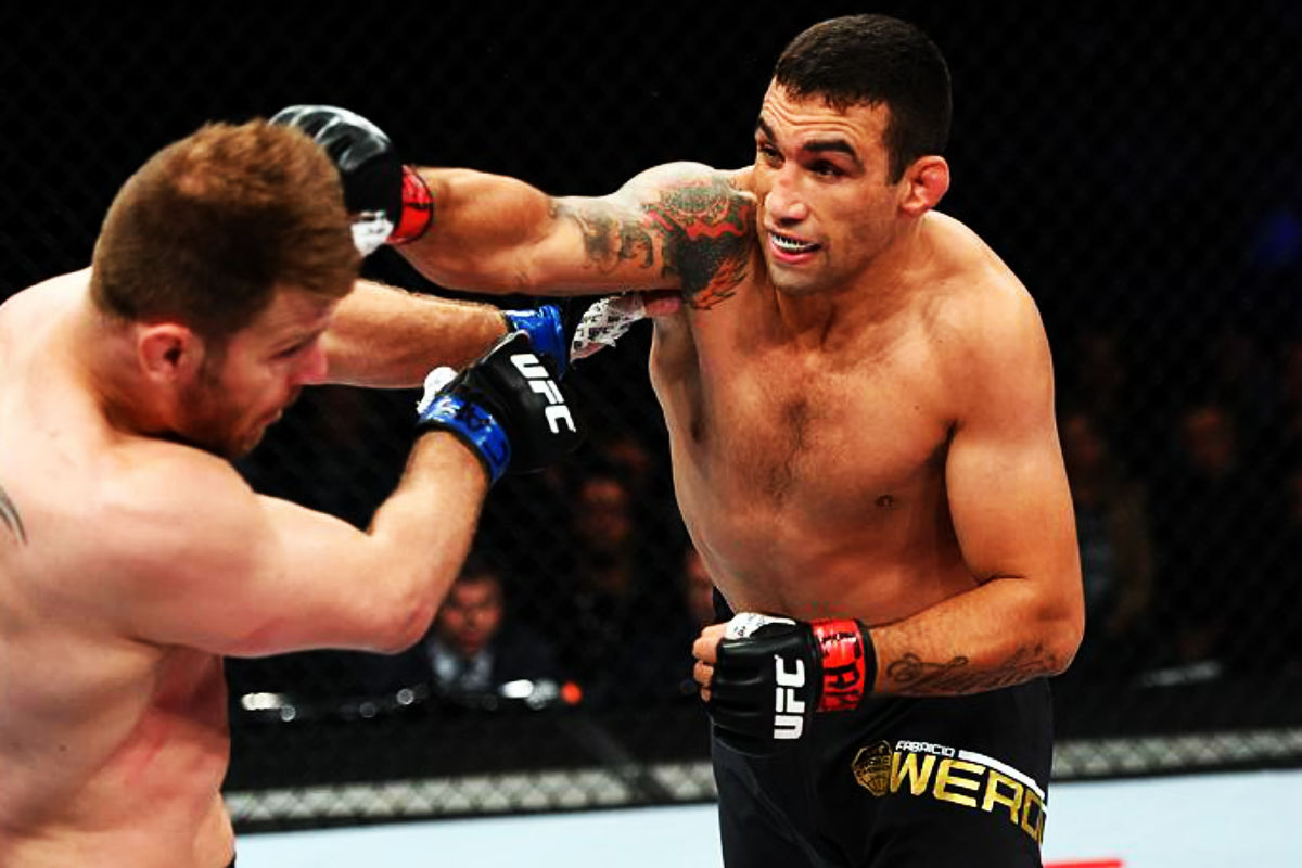 fabricio-werdum-ufc