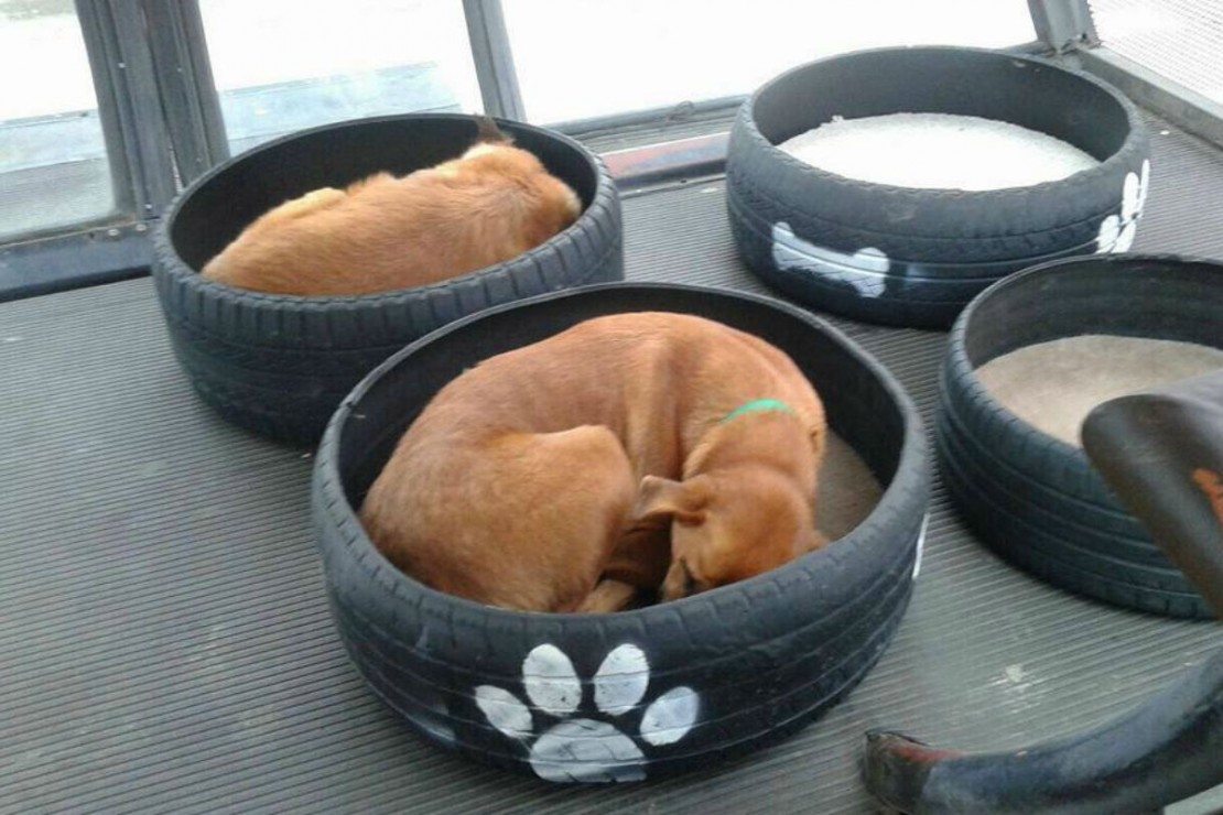 Caminhas são feitas com pneus usados e sobras de carpetes. Foto: Reprodução / Facebook