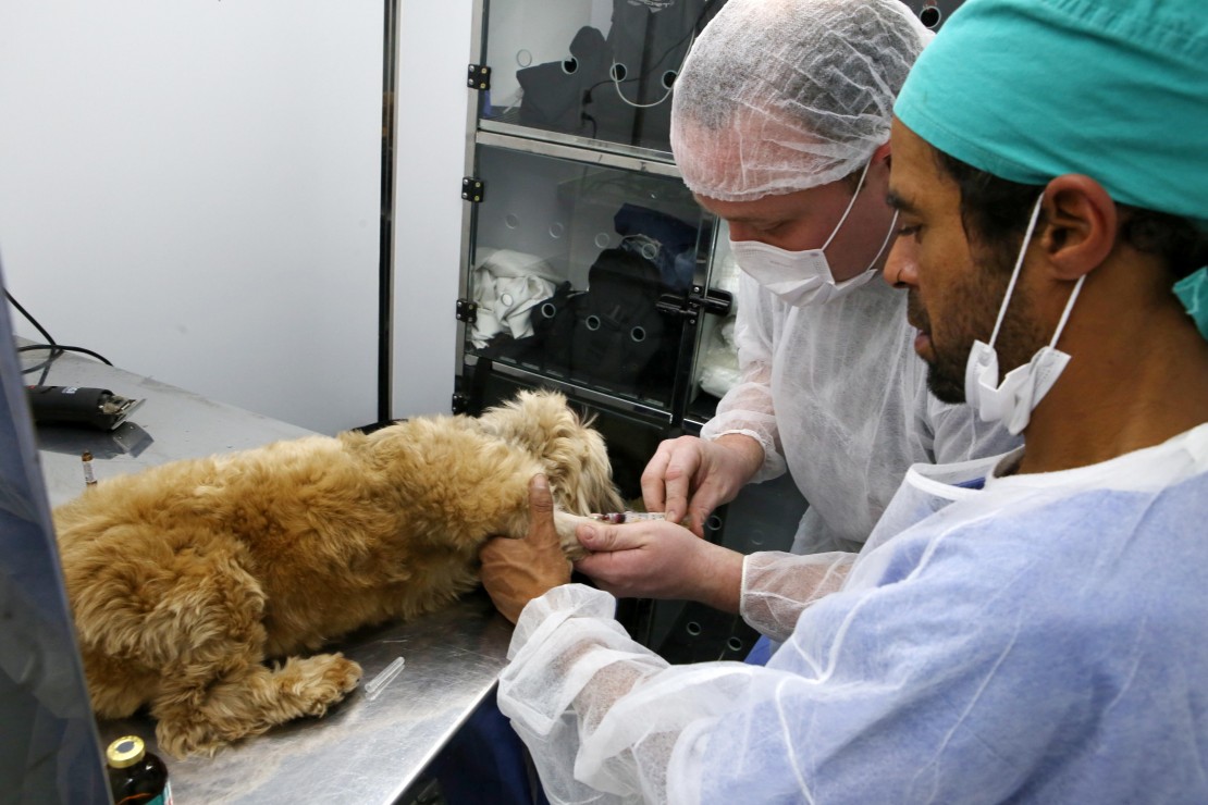 Foto: Cesar Brustolin/SMCS