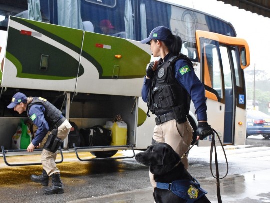 Popó em ação de fiscalização a ônibus de passageiros. Foto: Divulgação PRF PR