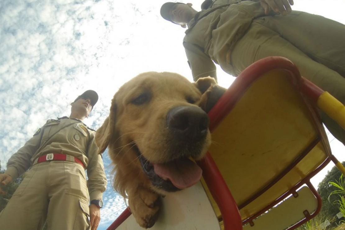 Foto: Comunicação Social da PMPR