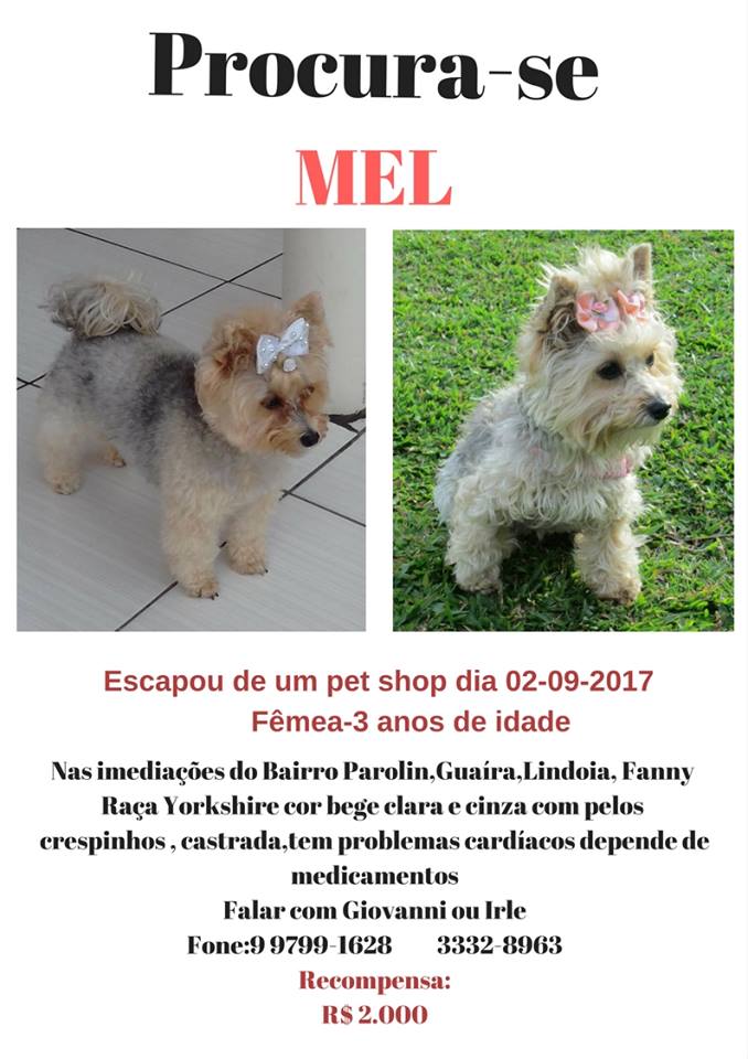 Foto: Reprodução Facebook