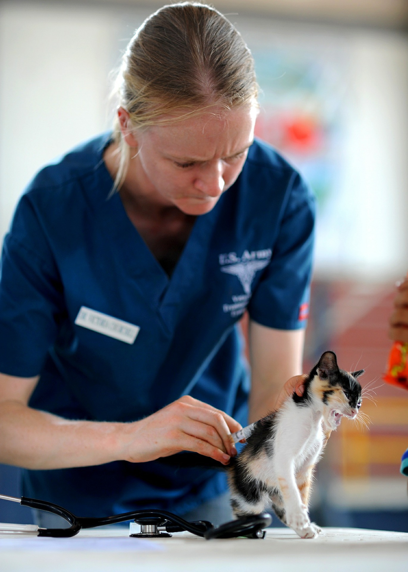 As visitas ao veterinário e a vacinação garantem a saúde dos pets. Foto: Pixabay