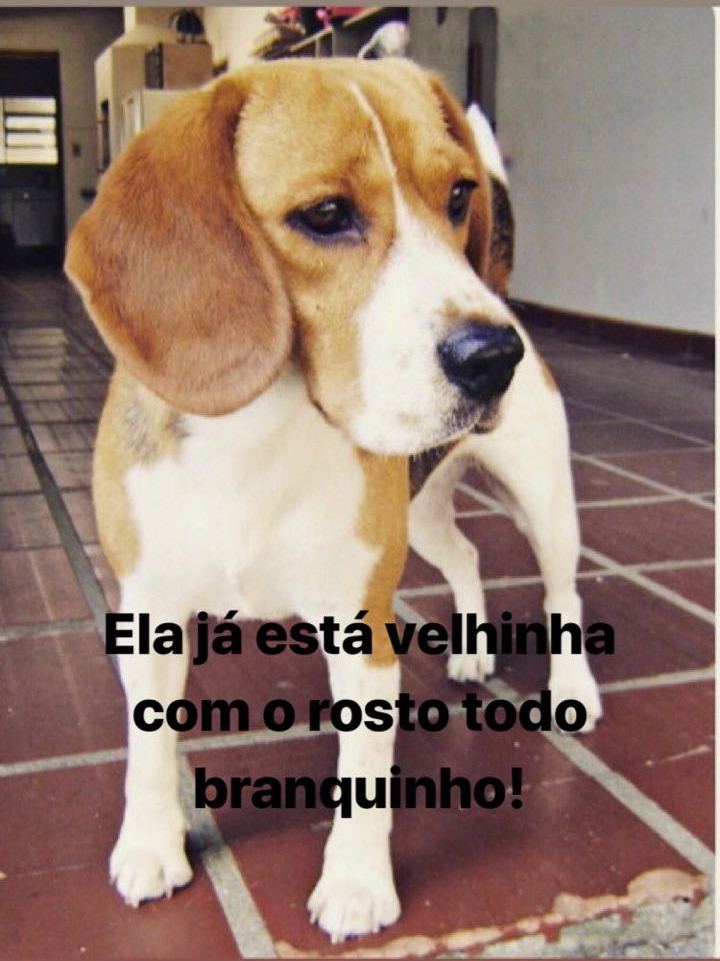 Foto: Arquivo Pessoal/Bruna Villatore