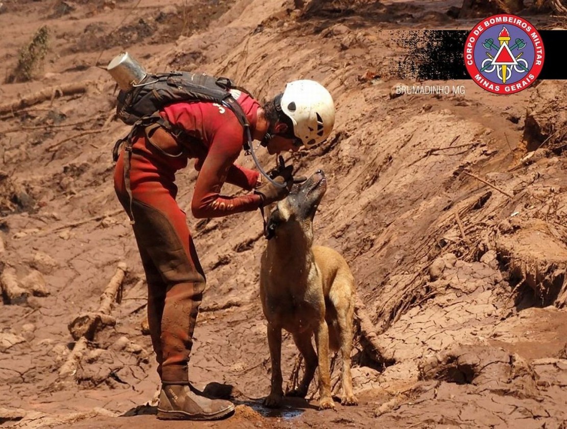 Foto: Reprodução/Twitter/Corpo de Bombeiros MG