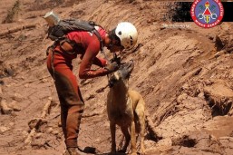 Foto: Reprodução/Twitter/Corpo de Bombeiros MG