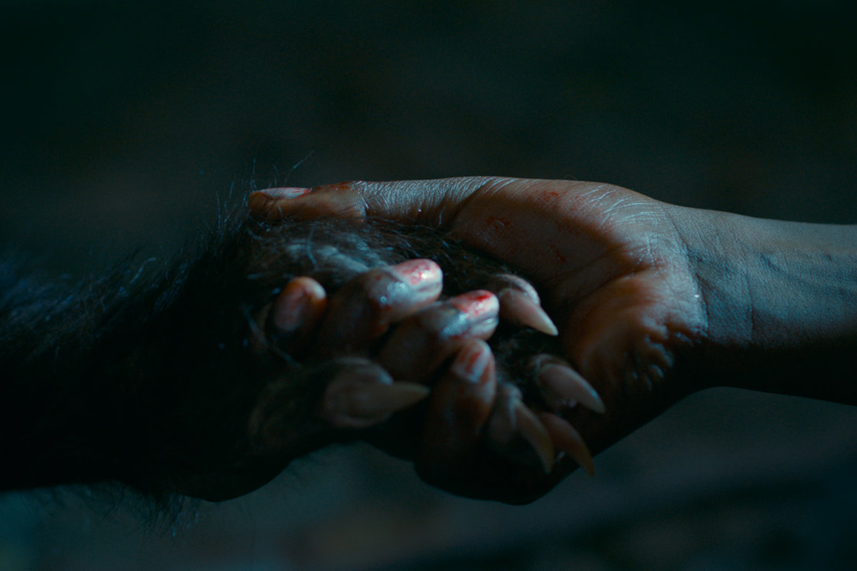 Cena do filme "As Boas Maneiras". Foto: Reprodução