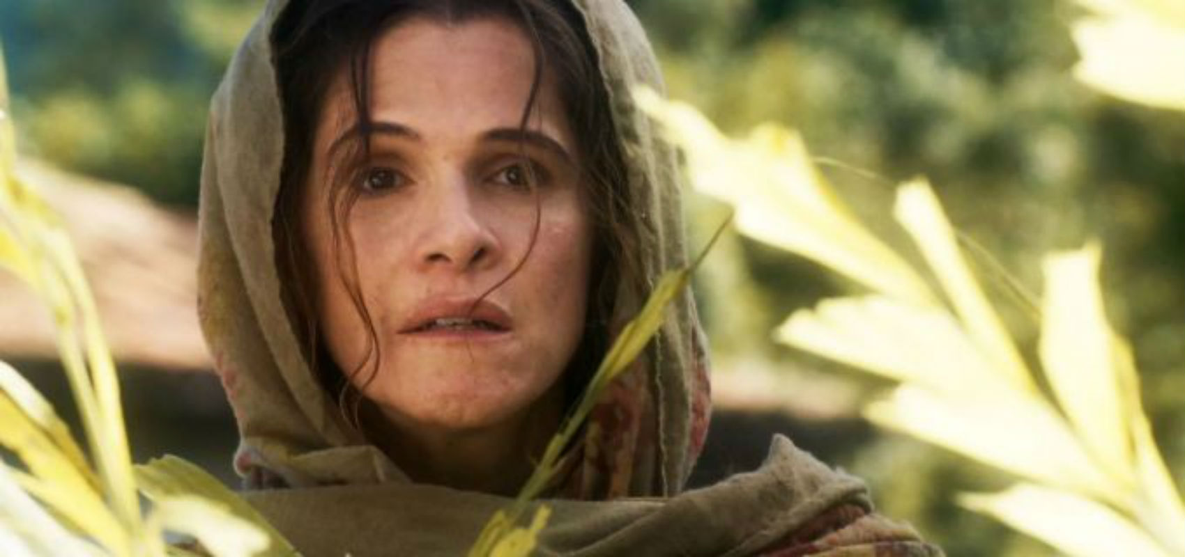 Em "Novo mundo", Elvira é atacada por Jacinto.