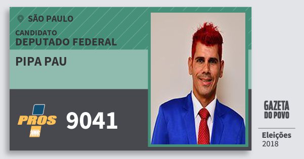 santinho-deputado-federal-pipa-pau-9041-sao-paulo