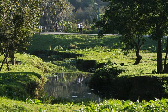 Parque Barigui