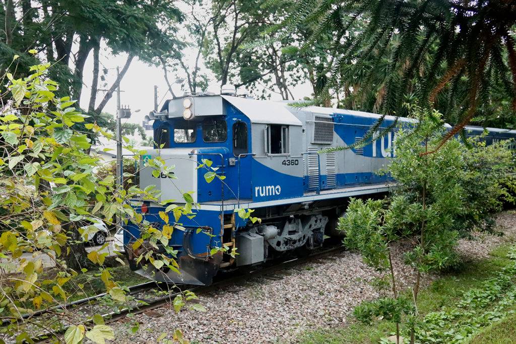 Hamilton Bruschz / Tribuna do Paraná