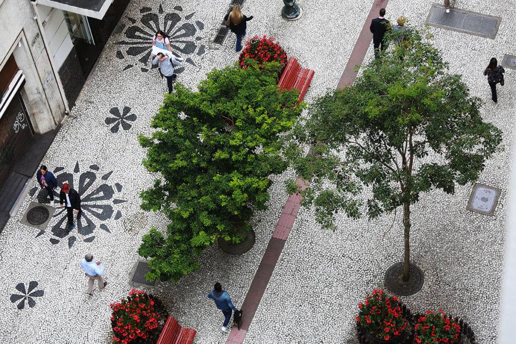 Felipe Rosa / Tribuna do Paraná