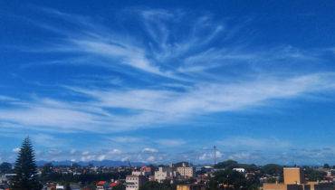 Hamilton Bruschz / Tribuna do Paraná