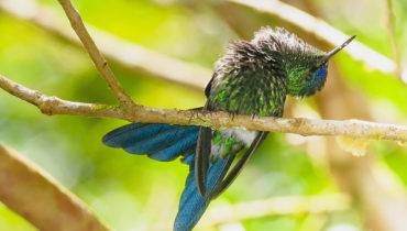 Lineu Filho / Tribuna do Paraná