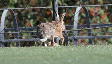 Jonathan Campos / Gazeta do Povo