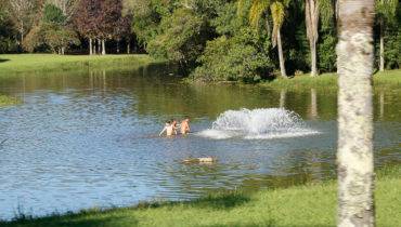 Átila Alberti / Tribuna do Paraná