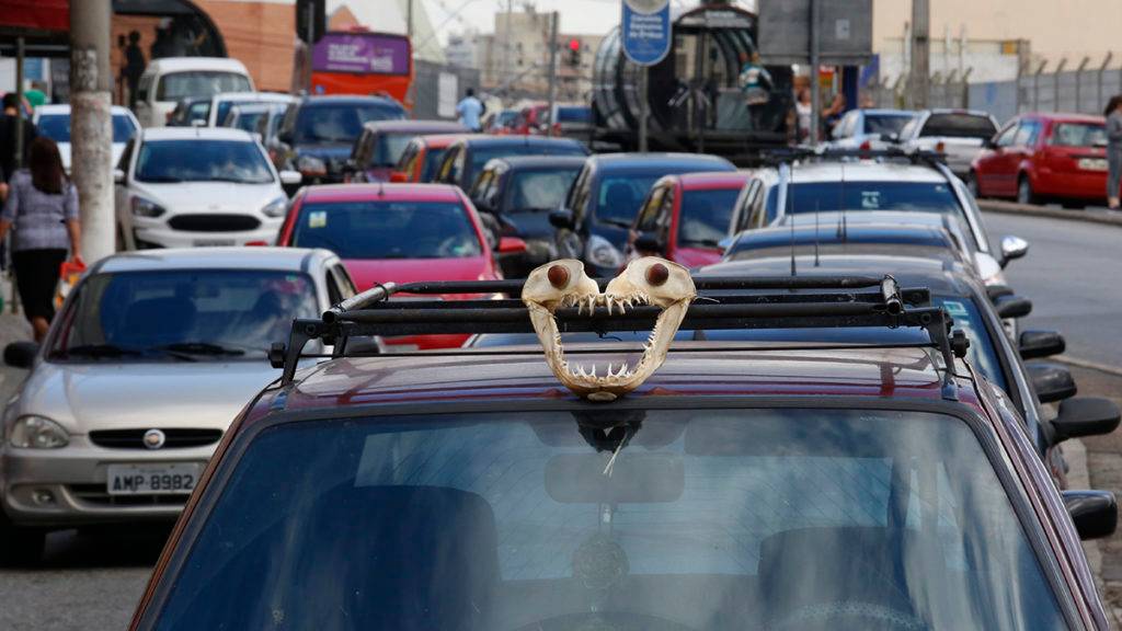 Átila Alberti / Tribuna do Paraná