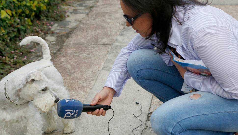 Átila Alberti / Tribuna do Paraná