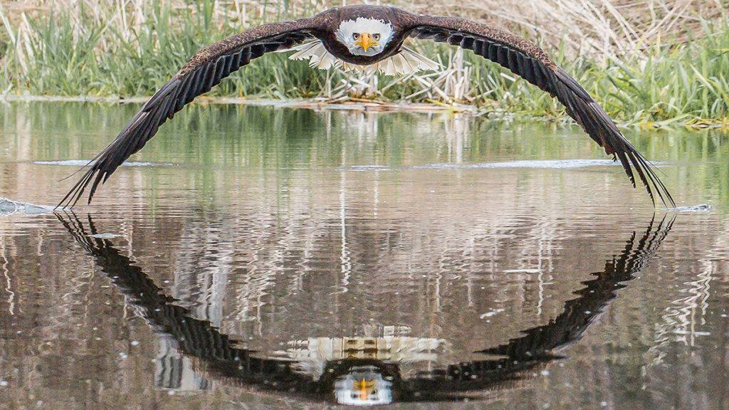 Steve Biro / Arquivo pessoal