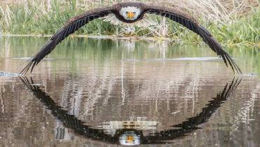 Steve Biro / Arquivo pessoal