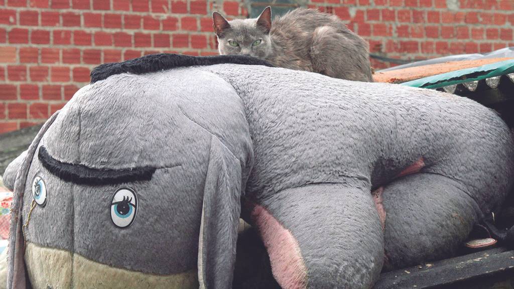 Gerson Klaina / Tribuna do Paraná