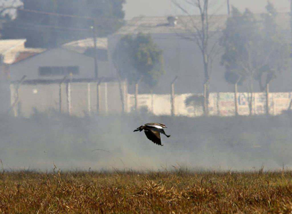 Átila Alberti / Tribuna do Paraná