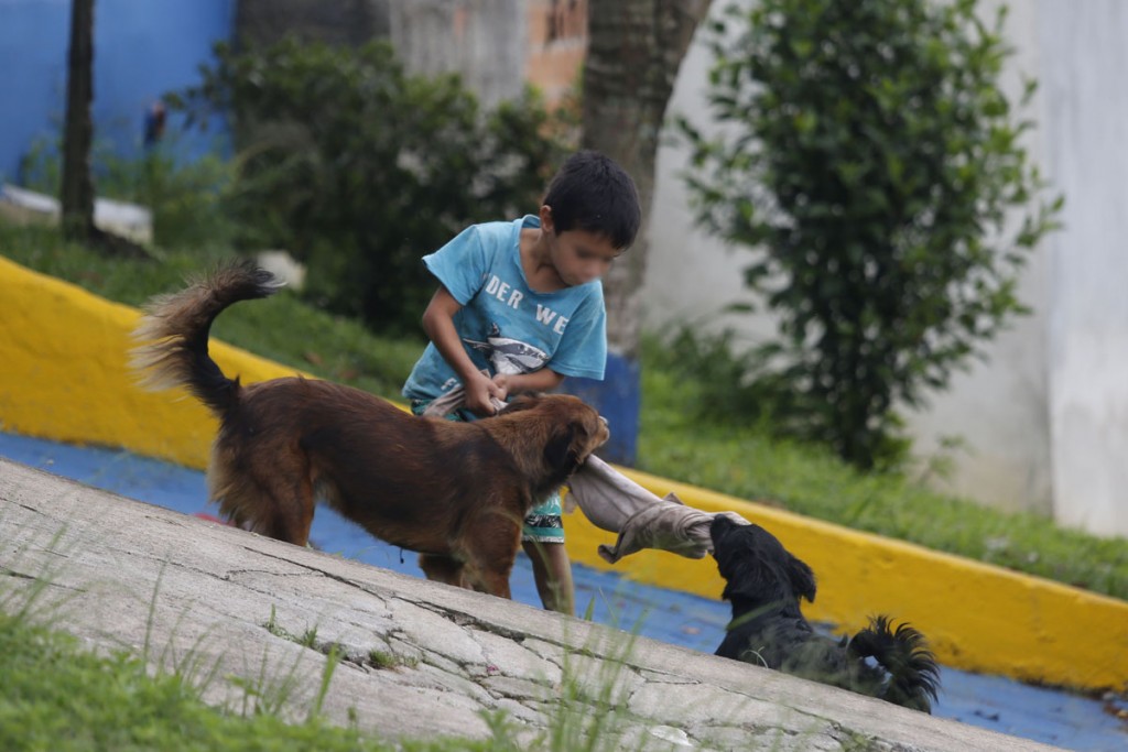 As protetoras pedem apoio para seguirem ajudando a solucionar o problema dos cães e gatos abandonados de Piraquara. Foto: Felipe Rosa