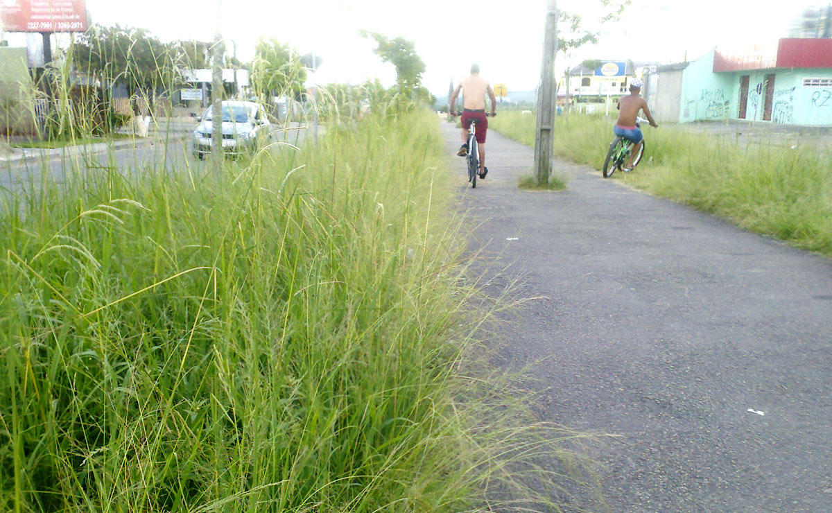 Foto: Colaboração/Leitor