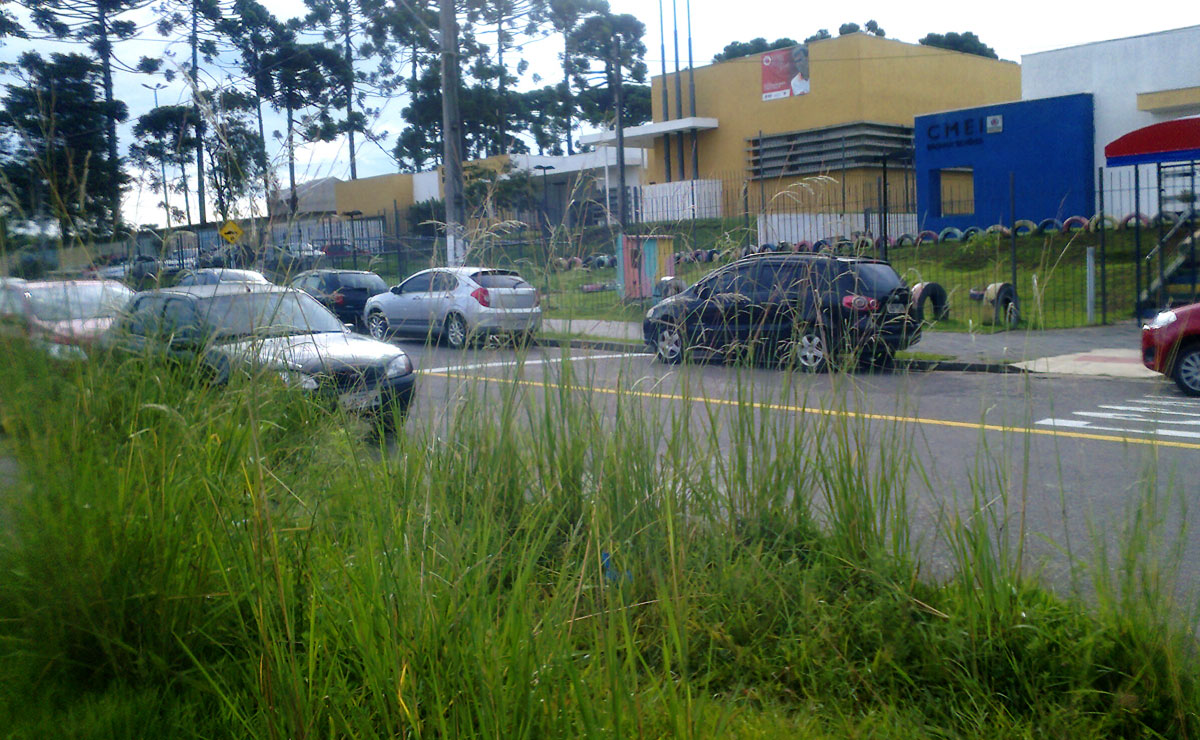 Foto: Colaboração/Leitor