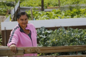 “Nosso medo agora é que a prefeitura ou a Copel passem com um trator por cima da horta”, diz Maria. Foto: Felipe Rosa.