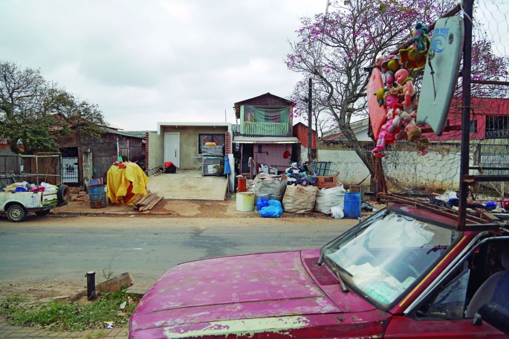 Foto: Felipe Rosa/Tribuna do Paraná