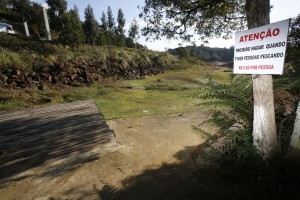 Foto: Átila Alberti/Tribuna do Paraná