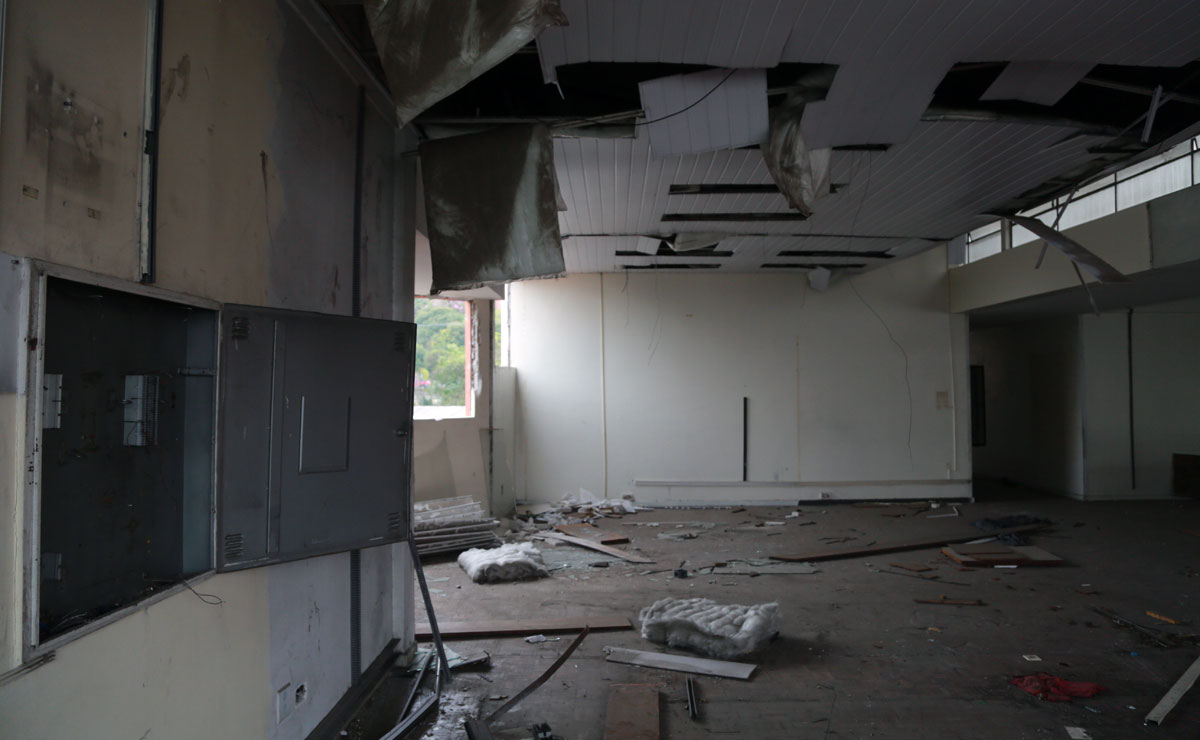 Mocós ao lado do Jardim Botânico de Curitiba levam risco a ...