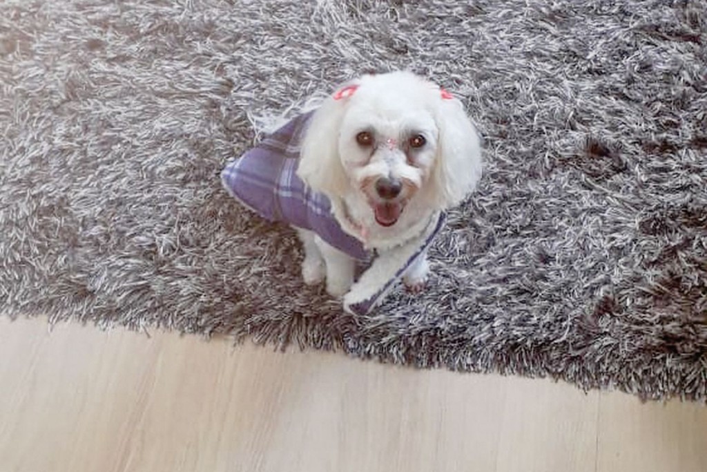 Foto: Arquivo Pessoal