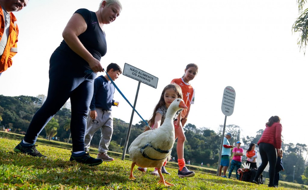 Foto: Marco Charneski/Tribuna do Paraná.