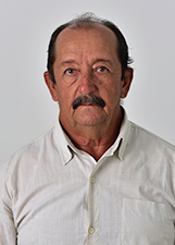 Agente politico