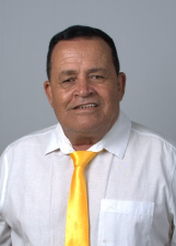 Agente politico