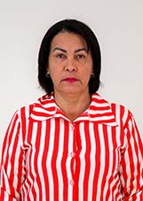 Agente politico