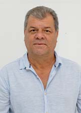 Agente politico